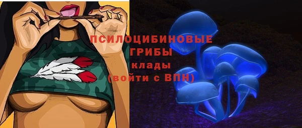 дурь Кулебаки