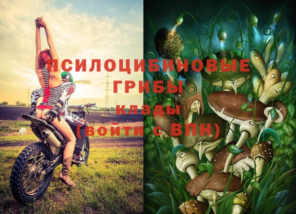метадон Кукмор