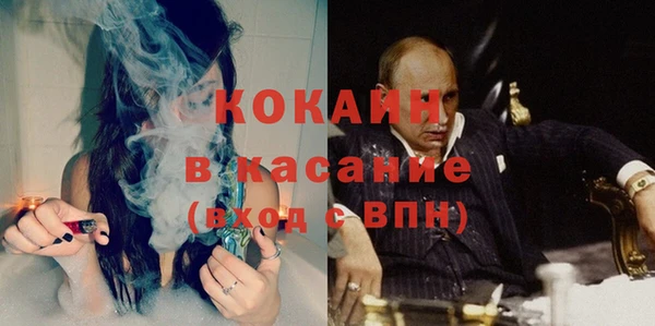 ПСИЛОЦИБИНОВЫЕ ГРИБЫ Лагань