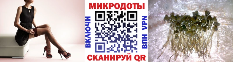 Купить закладки  Балахна  Галлюциногенные грибы GOLDEN TEACHER 